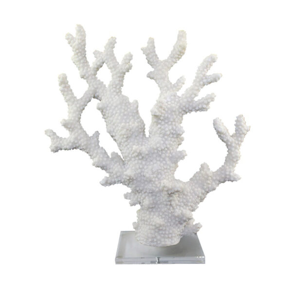 scultura corallo bianco fancy