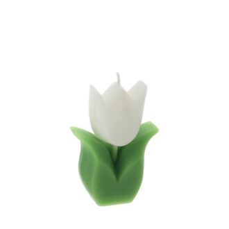 Candela Tulipano