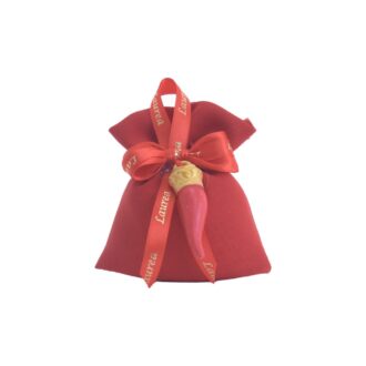 sacchetto laurea con corno
