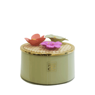 Candela Campo Verde Salvia