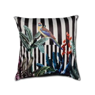 Cuscino Pappagallo