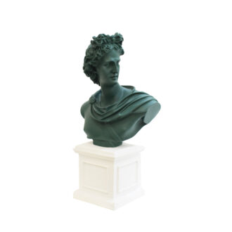 Mezzo Busto Apollo Verde Inglese