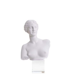 Busto Venere Bianco