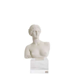 Busto venre medio avorio chiaraela