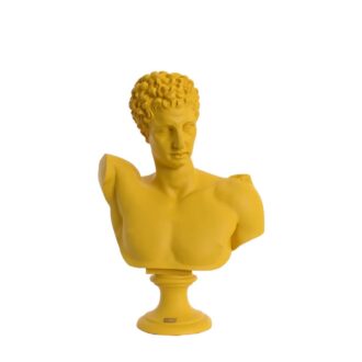 busto hermes giallo