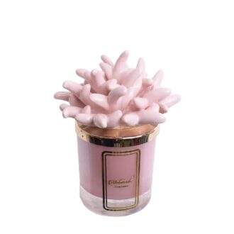 Candela Con Anemone 200g.