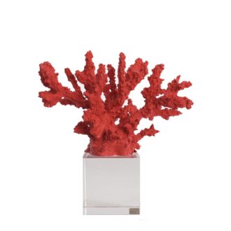 scultura coralloo rosso chiaraela