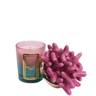 Candela Con Anemone Sfumata 100g.