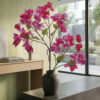 Ramo Bouganvillea Rex EDG