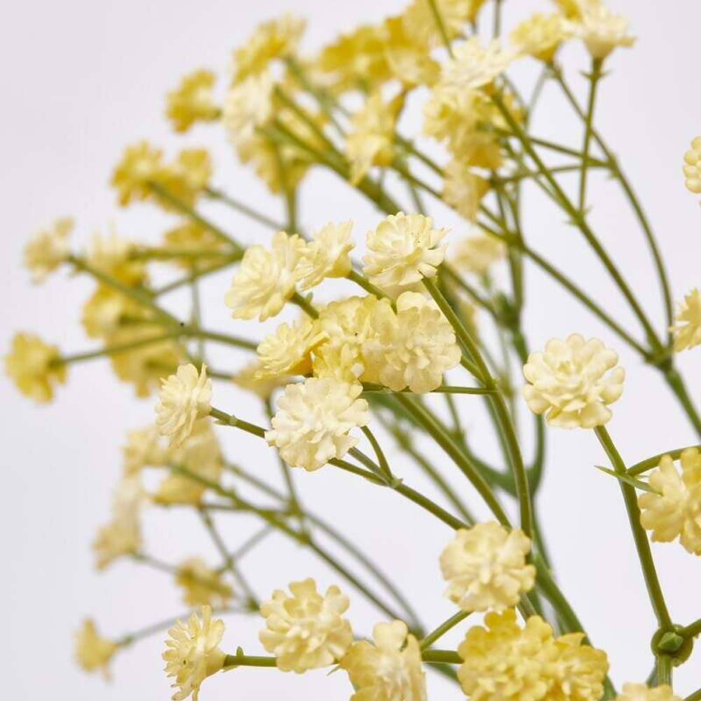 Ramo Gypsophila Colorato - immagine 4