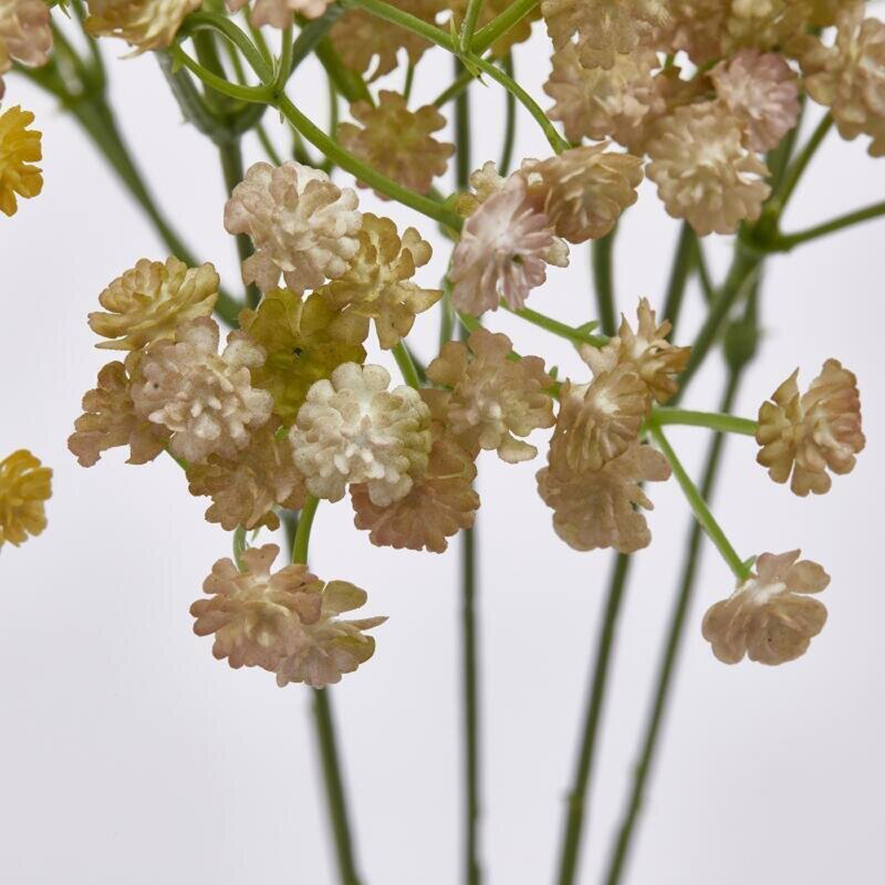 Ramo Gypsophila Colorato - immagine 3